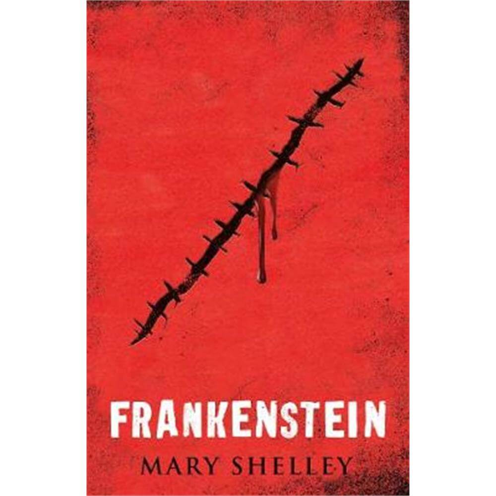 Frankenstein (Paperback) - Mary Shelley